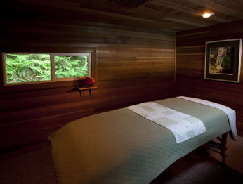 ホテル Sol Duc Hot Springs ポート・エンジェルス エクステリア 写真
