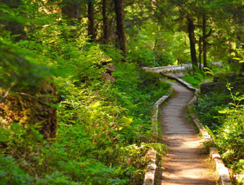 ホテル Sol Duc Hot Springs ポート・エンジェルス エクステリア 写真