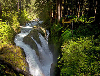 ホテル Sol Duc Hot Springs ポート・エンジェルス エクステリア 写真
